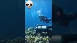 Underwater EARTHQUAKE!!!! #scubadiving #oceanlife #godzilla #adventure #cameraman