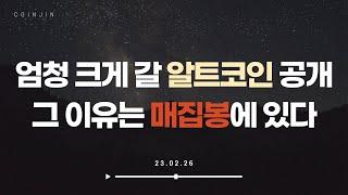 세력이 붙은 알트코인들 추천 및 비트코인 시황 분석