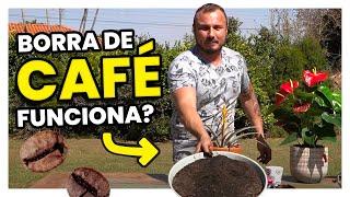 Borra de CAFÉ nas PLANTAS