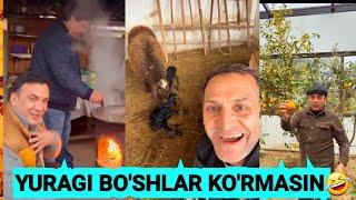 Kulaverib yuragingiz to'xtaydi | A collection of the funniest videos