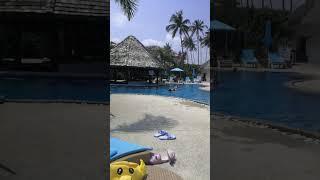 Shiva Samui beach club, отдых на Самуи с детьми.