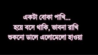 Boka pakhi (বোকা পাখি ) By Shohojia || Official lyrics video