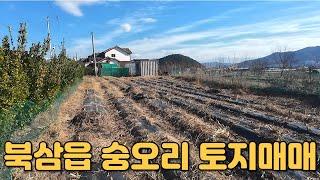 #934 칠곡군 북삼읍 숭오리 토지매매 133평 매매가8500만원 (도로변 전원주택단지 바로옆 토지! 전원주택 건축추천!)테라부동산