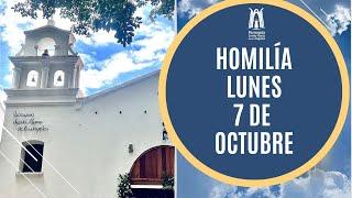 Homilía  Lunes 7 de Octubre de 2024  - Parroquia Santa María de los Ángeles