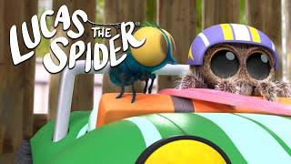 Will Lucas make the big jump?! | Lucas The Spider