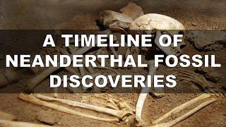 Timeline Of Neanderthal Fossil Discoveries