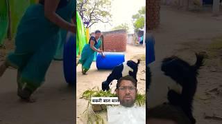 Ghar aaja Pardesi #shorts #viral