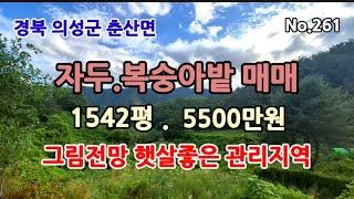 No 261.경북 의성군 춘산면 5500만원,1542평 과수원매매. 복숭아밭 자두밭 그림전망 건축가능. 의성땅 의성토지 의성과수원매매 의성과수원 춘산면토지 춘산면땅