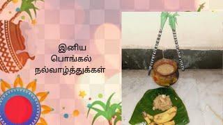 Mud clay pongal  pot celebration@ Pranu's Paradise