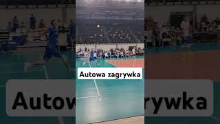 Zagrywka w aut #ślepsksuwałki #mksbędzin #sport #shorts #plusliga #siatkówka #zagrywka #serve #liga