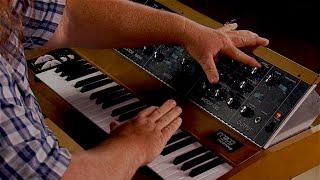 Moog Minimoog Model D Performance