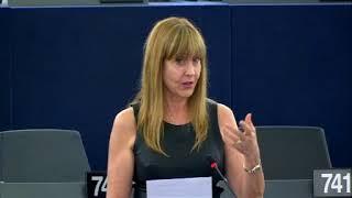 María Teresa Giménez Barbat 10 Sep 2018 plenary speech on European Solidarity Corps