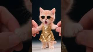 apt cat 98 #apt #aptcat