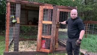 Our Rooster Tweety and his hens get their New Coop setup today