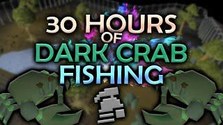 Fishing Dark Crabs - For 30 Hours