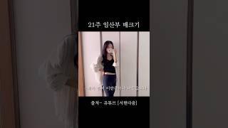 임신 21주차 배크기 #임신브이로그 #임산부배크기 #임신중기 #21주