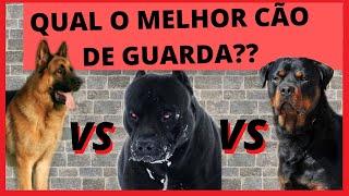 Pitbull vs Rottweiler vs Pastor Alemão Qual o melhor cão de guarda???