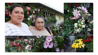 las novedades en el jardín de mi mamá, las nuevas floraciones y el jardín de mi papá