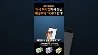 하락장에서 빛난 배당률 top3 etf들