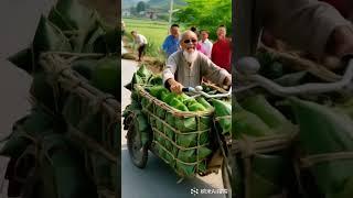 Have you seen my rural life? Folk customs, Zongzi, boo absurd video