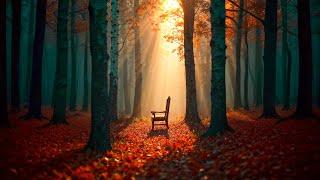 Relaxing Autumn October, Fall Color in New EnglandPeaceful Relaxing Music ~ Cozy Autumn Vibes 4K