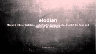 What does elodian mean