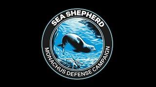 Monachus Defense Campaign - Sea Shepherd Greece - Eθνικό Θαλάσσιο Πάρκο Αλοννήσου Βορείων Σποράδων