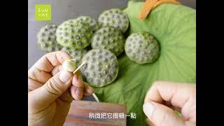 [Fun心教學]自己的蓮子自己剝！疫情期間宅在家剝蓮子DIY