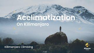 Acclimatization on Mt Kilimanjaro: All you need to know | Altezza Travel