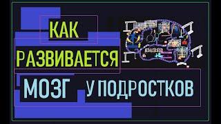 Что происходит в голове у подростков?