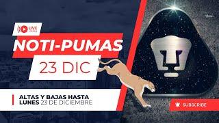 Noticias Pumas, altas y bajas 23 de Diciembre. que viene para #pumas ? #pumasmx #futbol #ligamx