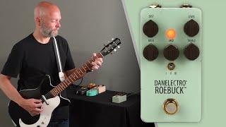 Getting Sounds on the Danelectro Roebuck