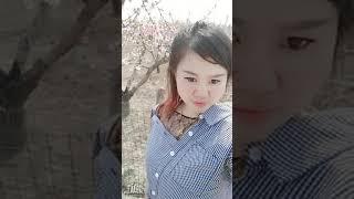 终于知道怎么上传照片了
