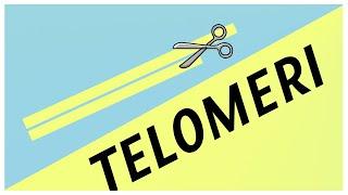 Cosa sono i telomeri? | Pillole di Scienza