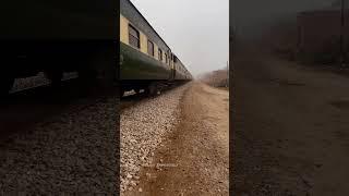 Train vs Indian Bat  #railaddictrik #railtrack #railway #railwayline #railwaytrack #railwayroute