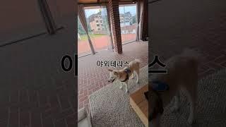 야외테라스
