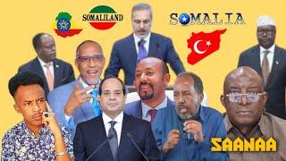 Sumcada Somaliland Oo Meeqamkeedu Sare U Kacay Kadib Markii Ay Masar Soo Saartay