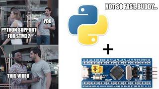 Python in STM32? w806? Not so fast... - PikaScript Review