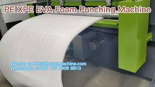 PE XPE EVA Punching Machine | 100 Tons Automatic Hydraulic Die Cutting Machine