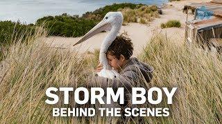 Storm Boy – Behind The Scenes