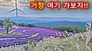 경남 거창 가볼만한 곳-어디가 좋을까?/감악산 꽃과별 축제/창포원/현성산/수승대/오도산/월여산