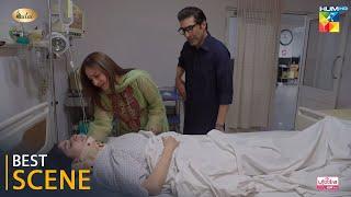 Jafaa - Episode 22 - Best Scene 01 - #mawrahussain #seharkhan #mohibmirza #usmanmukhtar - HUM TV