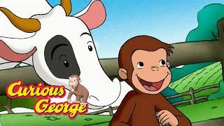 George Loves Cows  Curious George  Kids Cartoon  Kids Movies