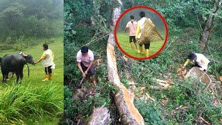 Himalayan Life of Nepal