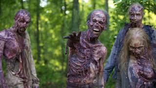 The Zombie Apocalypse Part 3