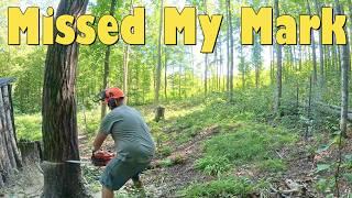 The Biggest Tree We've Ever Cut Down! Prepping for Rustic Live Edge Siding For The  Off Grid Cabin