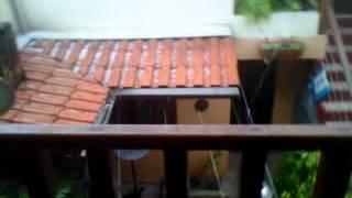 VID-20120312-00005