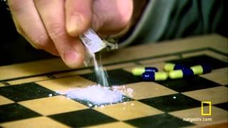 Drugs_ Inc. - Designer Drug Dealer