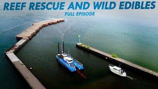 Reef Rescue and Wild Edibles | Great Lakes Now