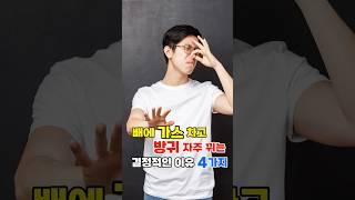 배에 가스 차고 방귀 자주 뀌는 결정적인 이유 4가